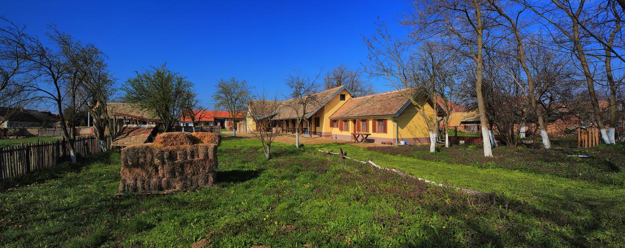 Sobe Kod Baje - Baranjska Kuca Bed & Breakfast Karanac Екстериор снимка