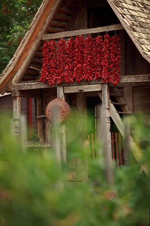 Sobe Kod Baje - Baranjska Kuca Bed & Breakfast Karanac Екстериор снимка